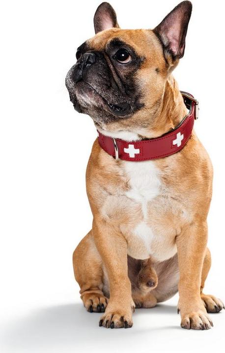 Produktbild Hunter Halsband Swiss Echtleder (35, 36, 37, 38, 39, 40, 41, 42, 43, Hund, Hundesport)