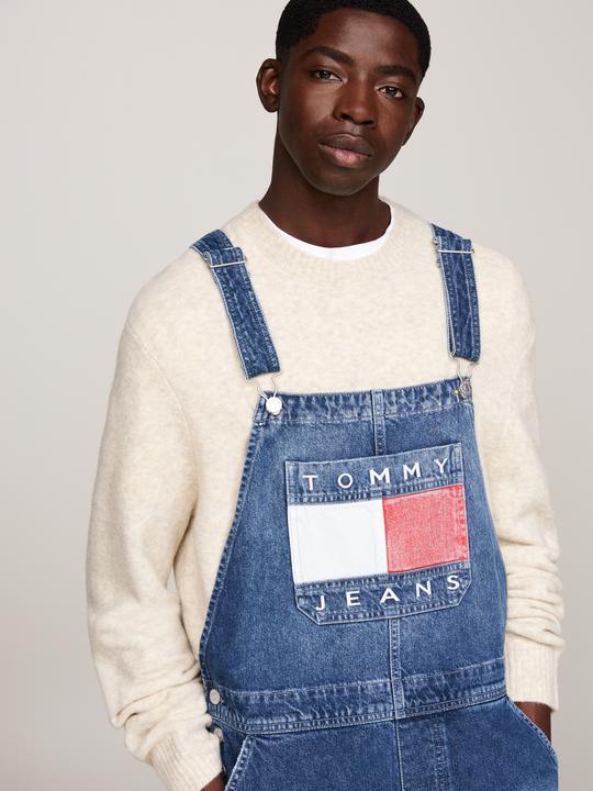 Image du produit Tommy Jeans 10020197 (L)