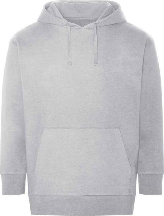 Awdis Erwachsene Krater Recycled Hoodie