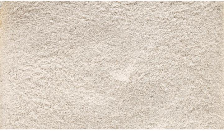 Immagine prodotto Schweizer Integratore alimentare Easy Barf Pro Calcium Powder, 300g (Adulto, 1 pz., 360 g)