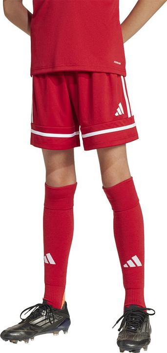 Actual product image adidas Squadra 25 Short Kids (176)