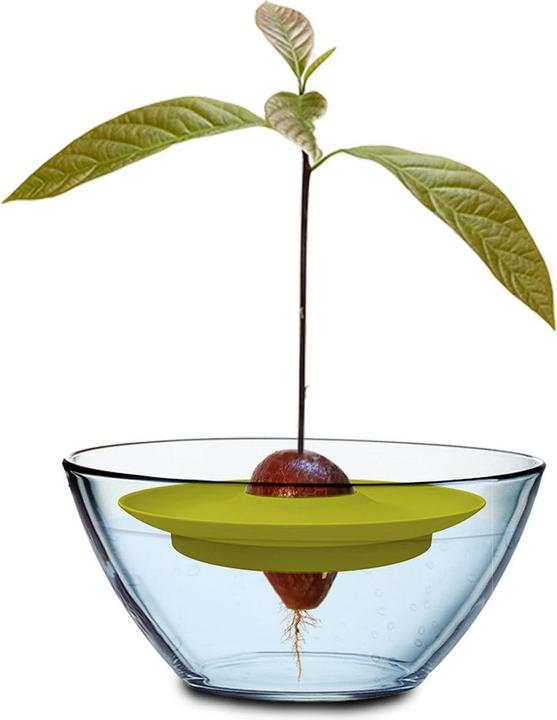 Image du produit Romberg Kit Avocat