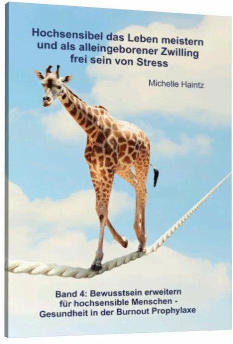 Produktbild Hochsensibel das Leben meistern und als alleingeborener Zwilling frei sein von Stress (Deutsch, Michelle Haintz, 2017)