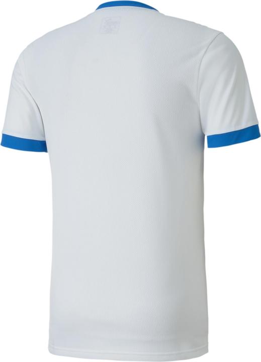Actual product image Puma teamGOAL 23 Jersey-704171 (XL)