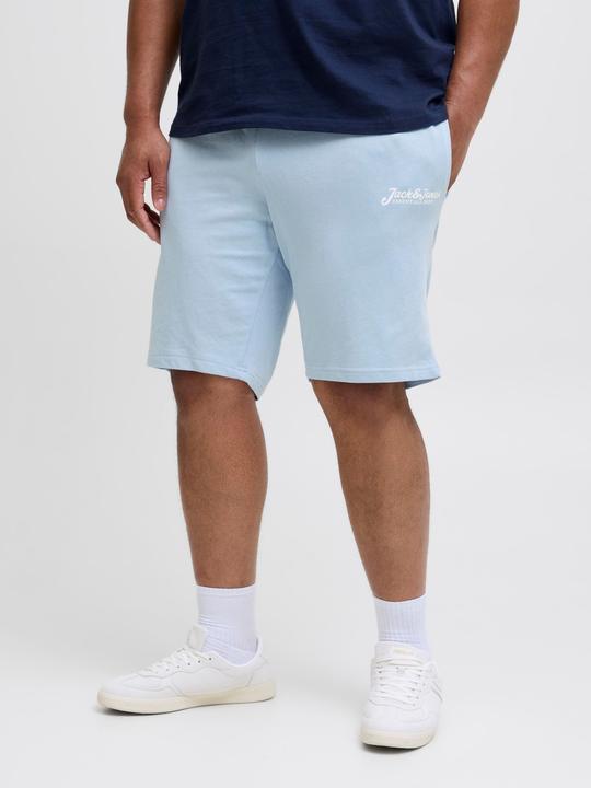 Produktbild Jack & Jones Plus Size Regular Fit Regular Fit Shorts Regular Fit Shorts (42)
