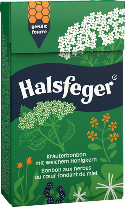 Image du produit Halsfeger bonbon aux herbes pastilles (1 pcs, 40 g)