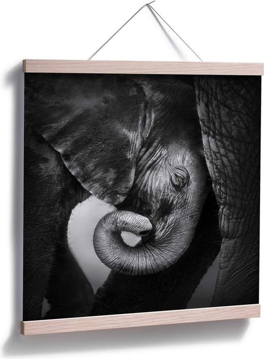 Image du produit Trenddeko Le bébé éléphant (60 x 60 cm)