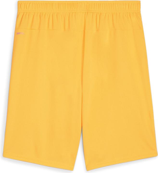 Produktbild Puma teamGOAL Shorts (S)