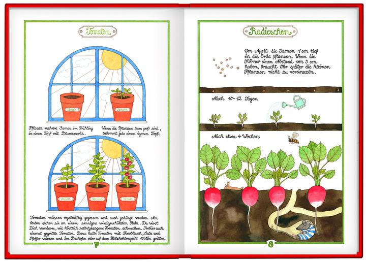 Produktbild Das grosse Buch für kleine Gärtner (Deutsch, Antje Vogel, 2008)