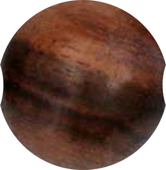 Image du produit Star Piercing Boule de fermeture en bois Narra (sans laiton, Organique)