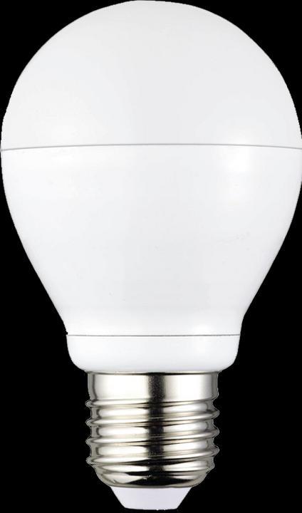 Actual product image HP 11a (FC)