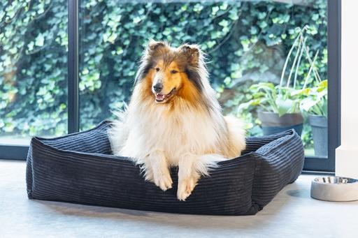 Image du produit Designed by Lotte Ribbed (Chien)