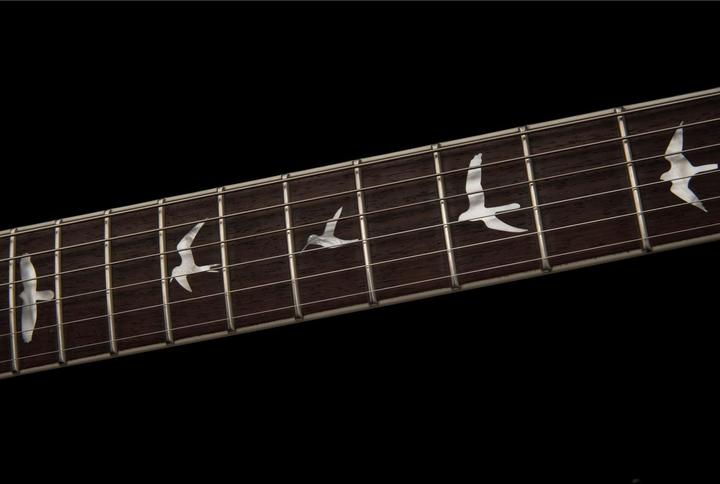 Immagine prodotto PRS SE Zach Myers - Myers Blue (Chitarra elettrica, Acero, mogano, Mogano)
