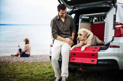 Produktbild Dogbox Scratch-Guard (Hund)