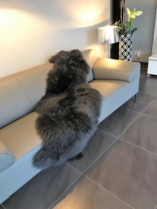 Produktbild Kaiser Deko Fell aus 1,5 Fellen 185x60 cm early grey