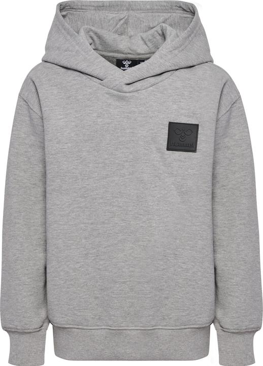 Image du produit hummel hmlCLEAN HOODIE (104)