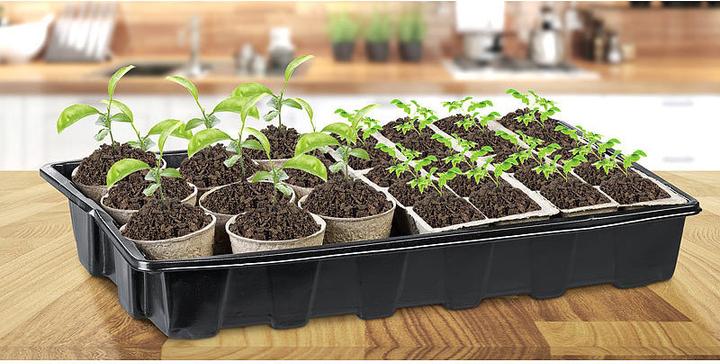Produktbild Royal Gardineer Pflanzen-Anzucht-Set