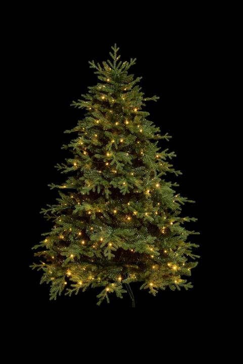 STT Weihnachtsbaum (150 cm)
