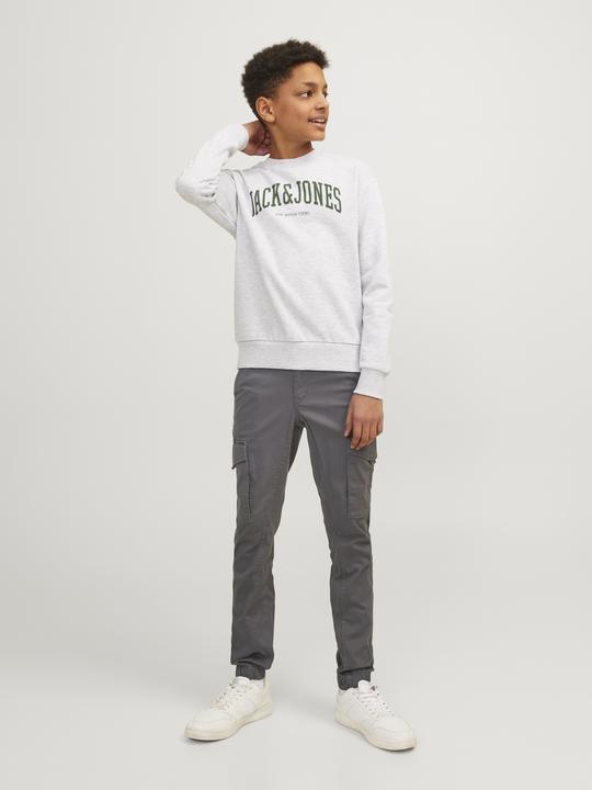 Image du produit Jack & Jones Paul Flake (176)
