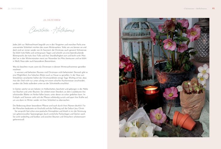Immagine prodotto Weihnachtliche Blumenpoesie (Tedesco, Anna Rupp, 2023)