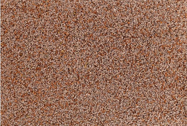 Actual product image Vitana Dog Food Supplement Indian Psyllium, 150 g (1 pcs., 150 g)