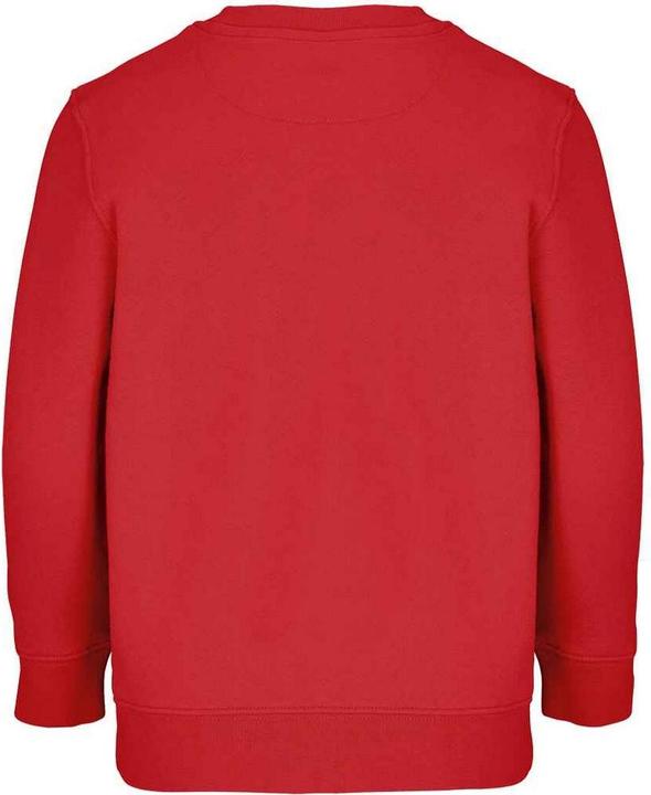 Actual product image Sols Childrens/Kids Columbia Sweatshirt (104)