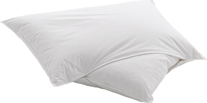 Image du produit Dauny Capa Wool (50 x 70 cm)