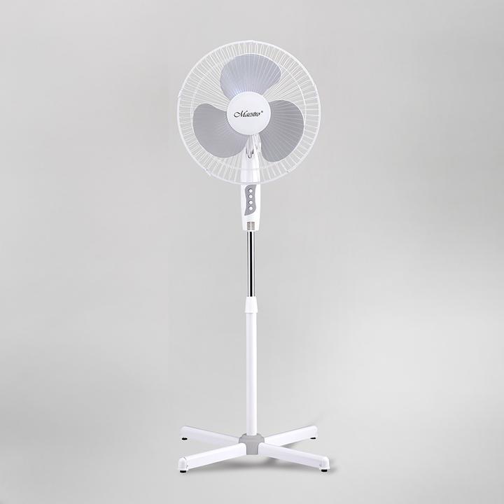 Produktbild Feel-Maestro MR900 Wt Gr