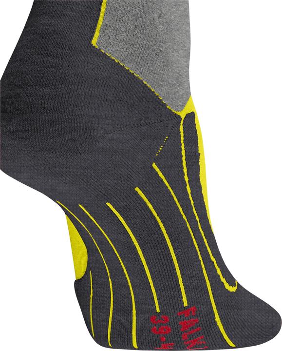 Image du produit Falke SK4 Avancé (39 - 41)