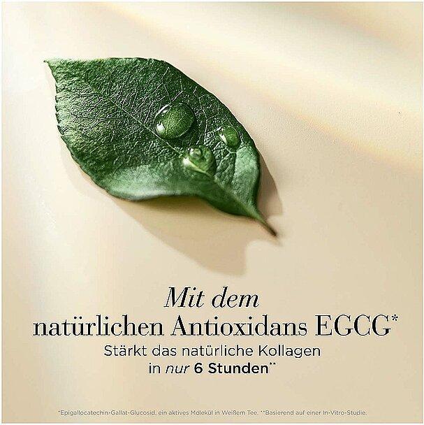 Image du produit Elizabeth Arden Replenishing Micro Gel Cream (50 ml, Crème 24h)