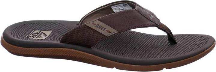 Image du produit Reef paumes (39)