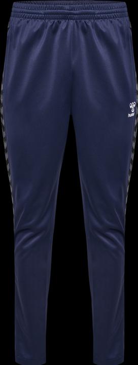 Actual product image hummel Hmlauthentic Training Pants (M)