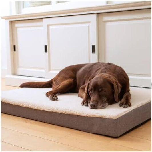 Immagine prodotto Beeztees Zira (Cane)