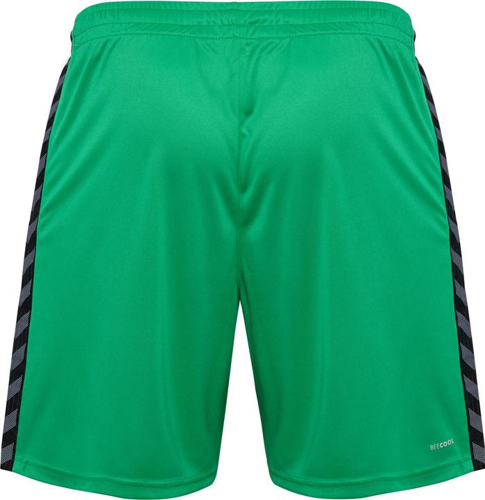 Image du produit hummel Hmlauthentic Pl Shorts (XXL)