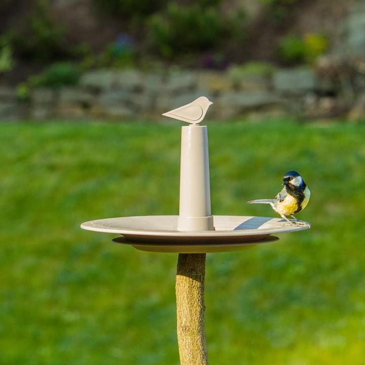 Image du produit Plastia Mangeoire pour oiseaux FINCH taupe