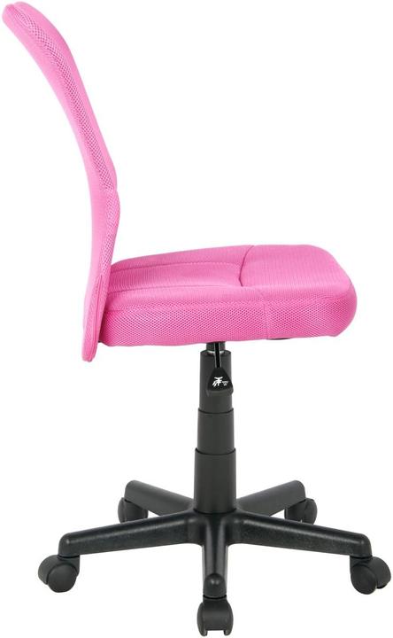 Image du produit SixBros. Rose