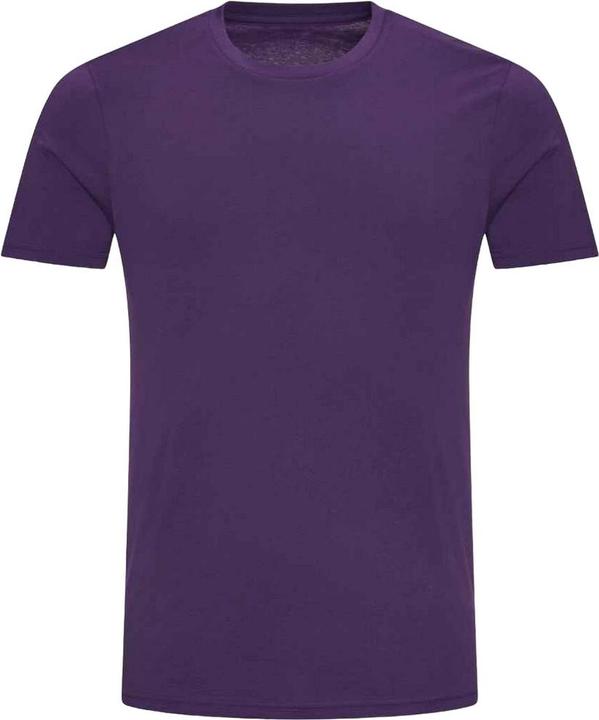 Produktbild Awdis The 100 TShirt (XL)
