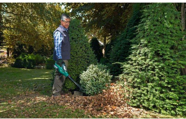 Immagine prodotto Bosch Home & Garden Alb 36 Li (Batteria ricaricabile, Soffiafoglie)