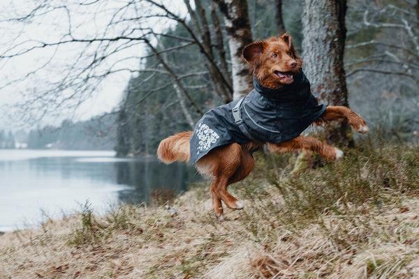 Immagine prodotto Hurtta Cappotto Monsoon mirtillo (40, Cappotto per cani)
