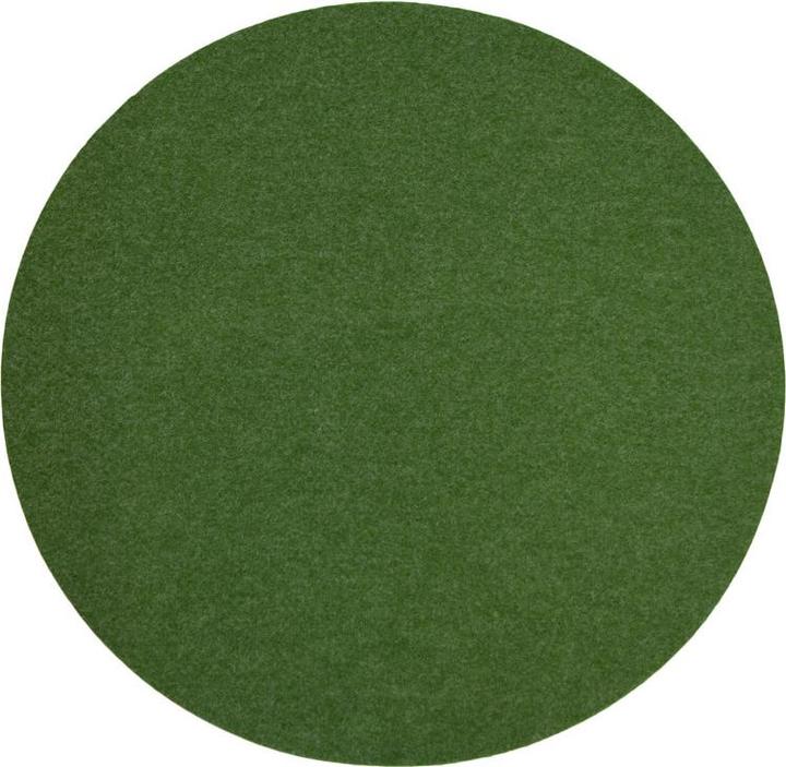 Seagrass