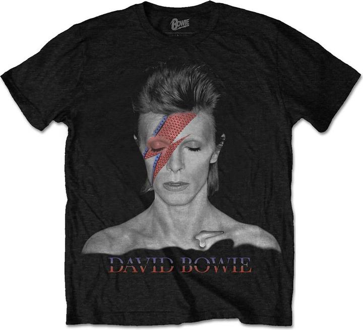 David Bowie Aladdin Sane