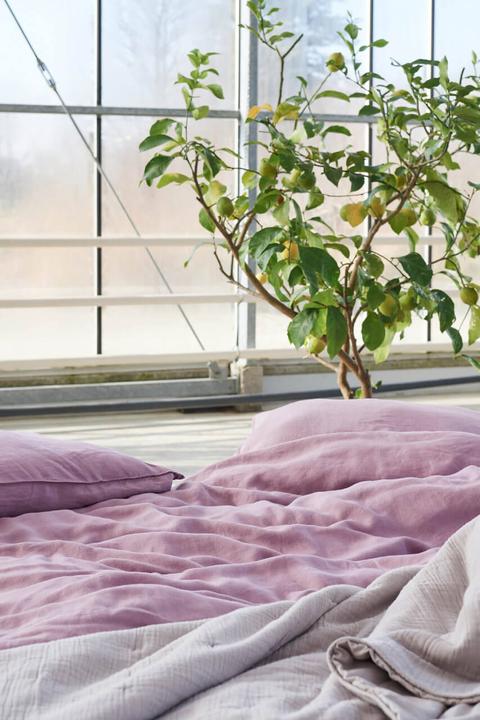 Image du produit lavie Lotta (Taie d'oreiller, 65 x 100 cm)