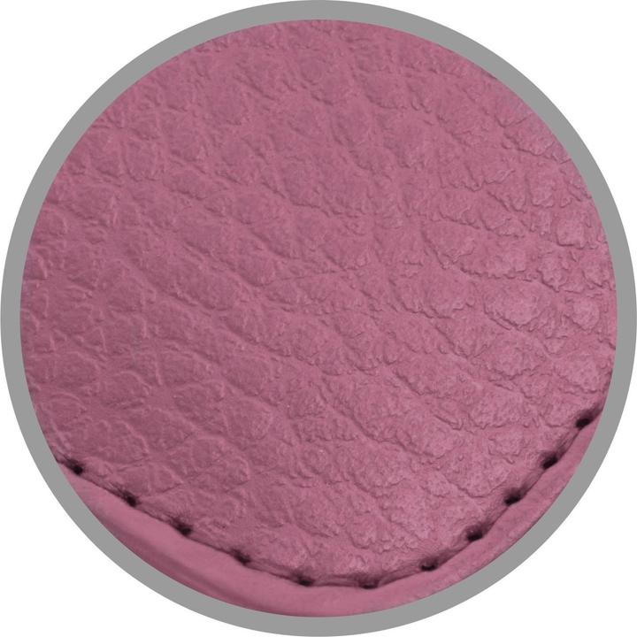 Image du produit Cadorabo Pochette 3 cartes (Apple iPhone 13 Pro)