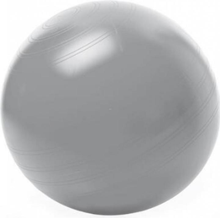 Produktbild Togu Sitzball ABS (65 cm)