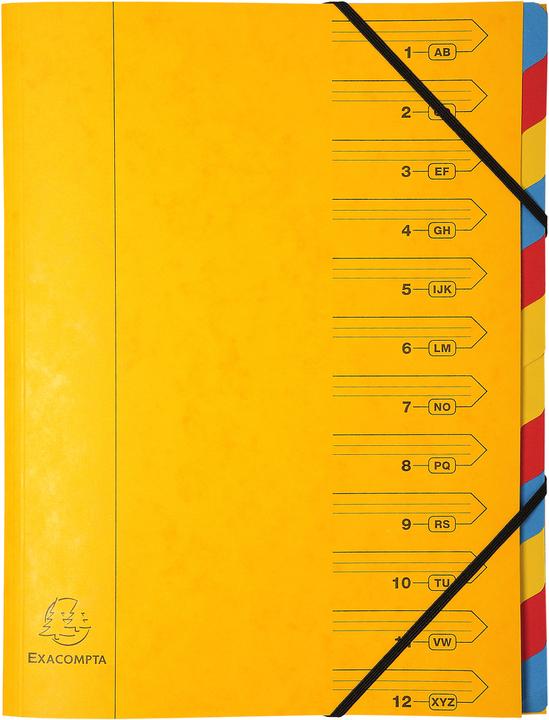 Produktbild Exacompta Geheftete Ordnungsmappen (A4, 1 x)