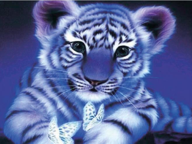 Image du produit Pracht Diamond Painting Bébé tigre