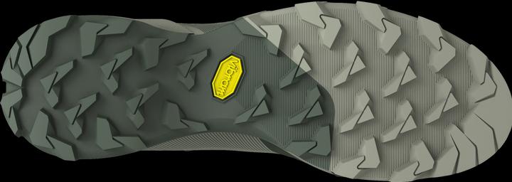 Actual product image Dynafit Transalper GTX running shoe (45)