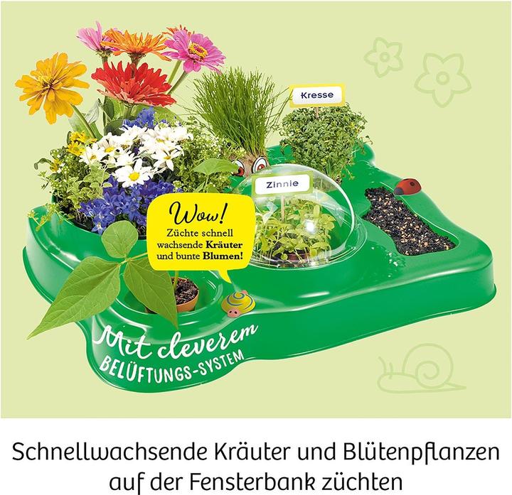Image du produit Kosmos Ma première serre