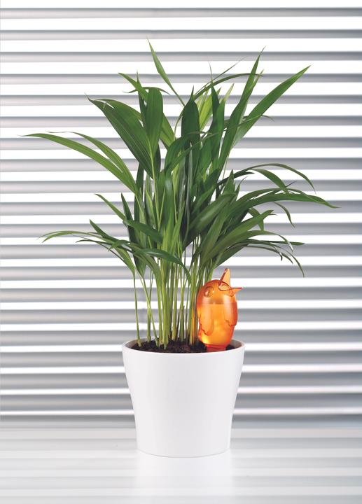Actual product image Scheurich Bördy S (Clay cone)