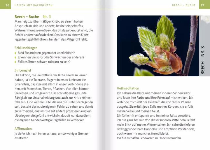 Produktbild Heilen mit Bachblüten. Kompakt-Ratgeber (Deutsch, Anna Elisabeth Röcker, 2022)